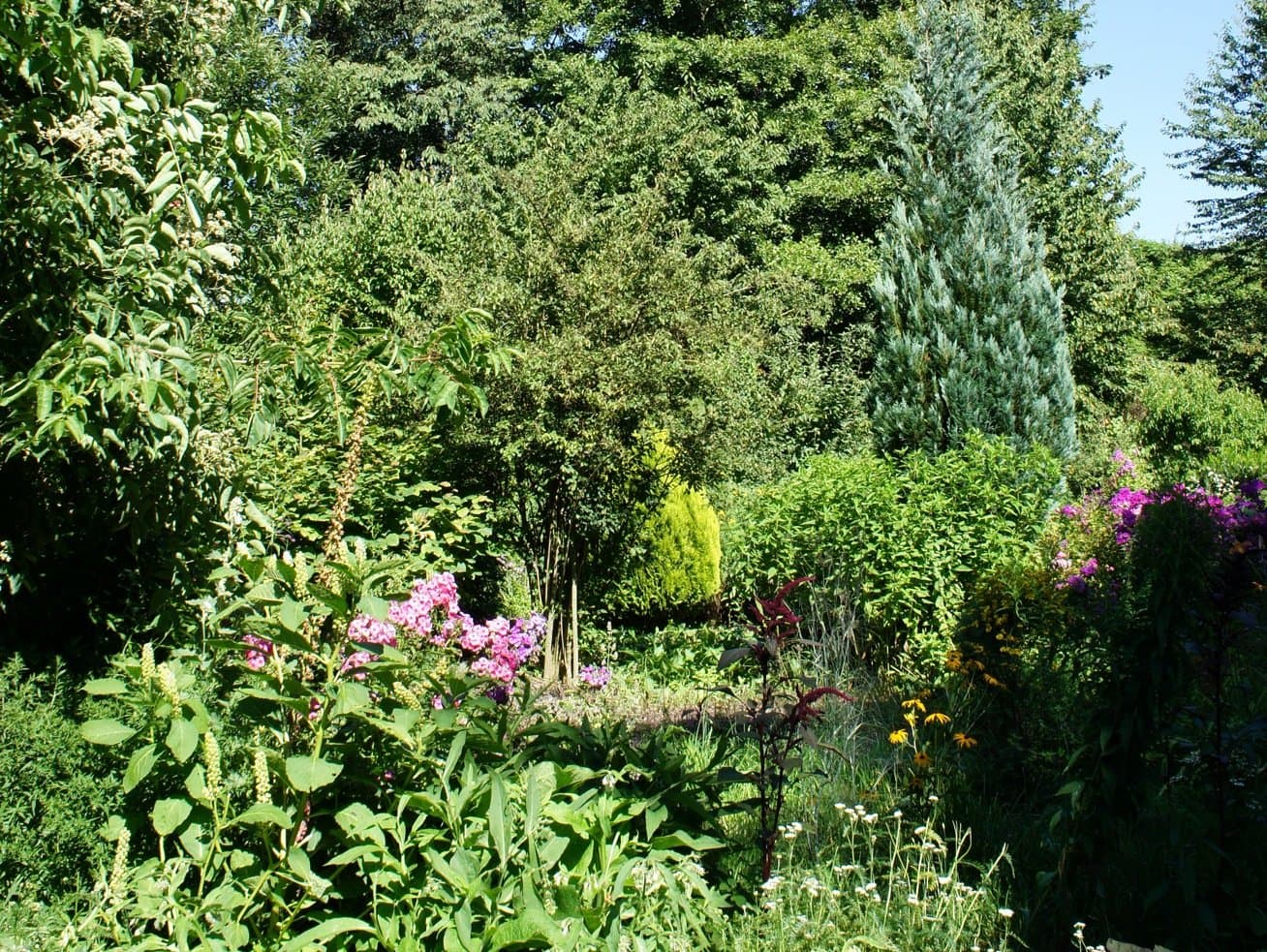 Führung durch den Duft- und Kräutergarten