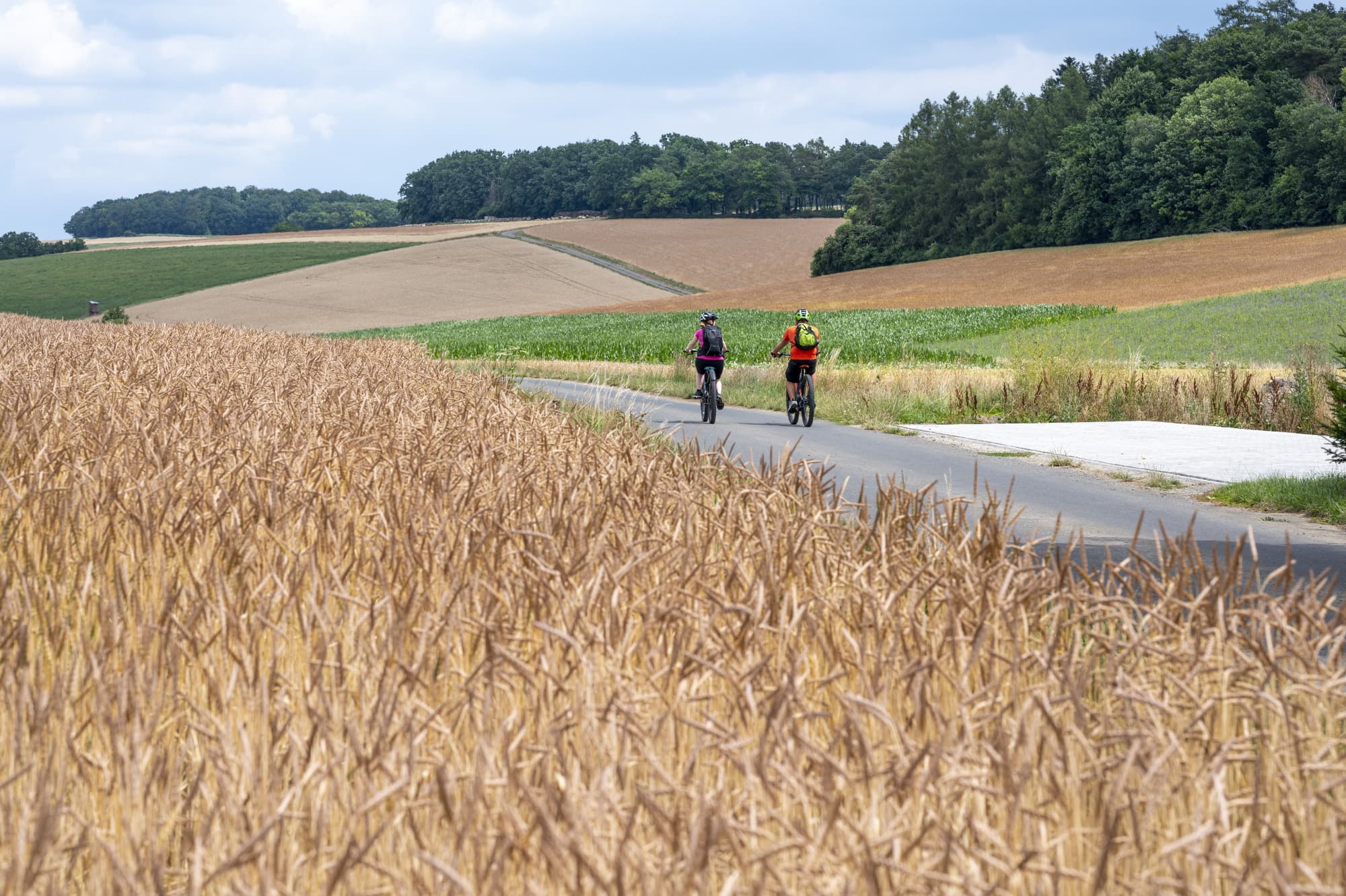 2 Radler fahren entlang eines Radweges zwischen Dinkelfeldern