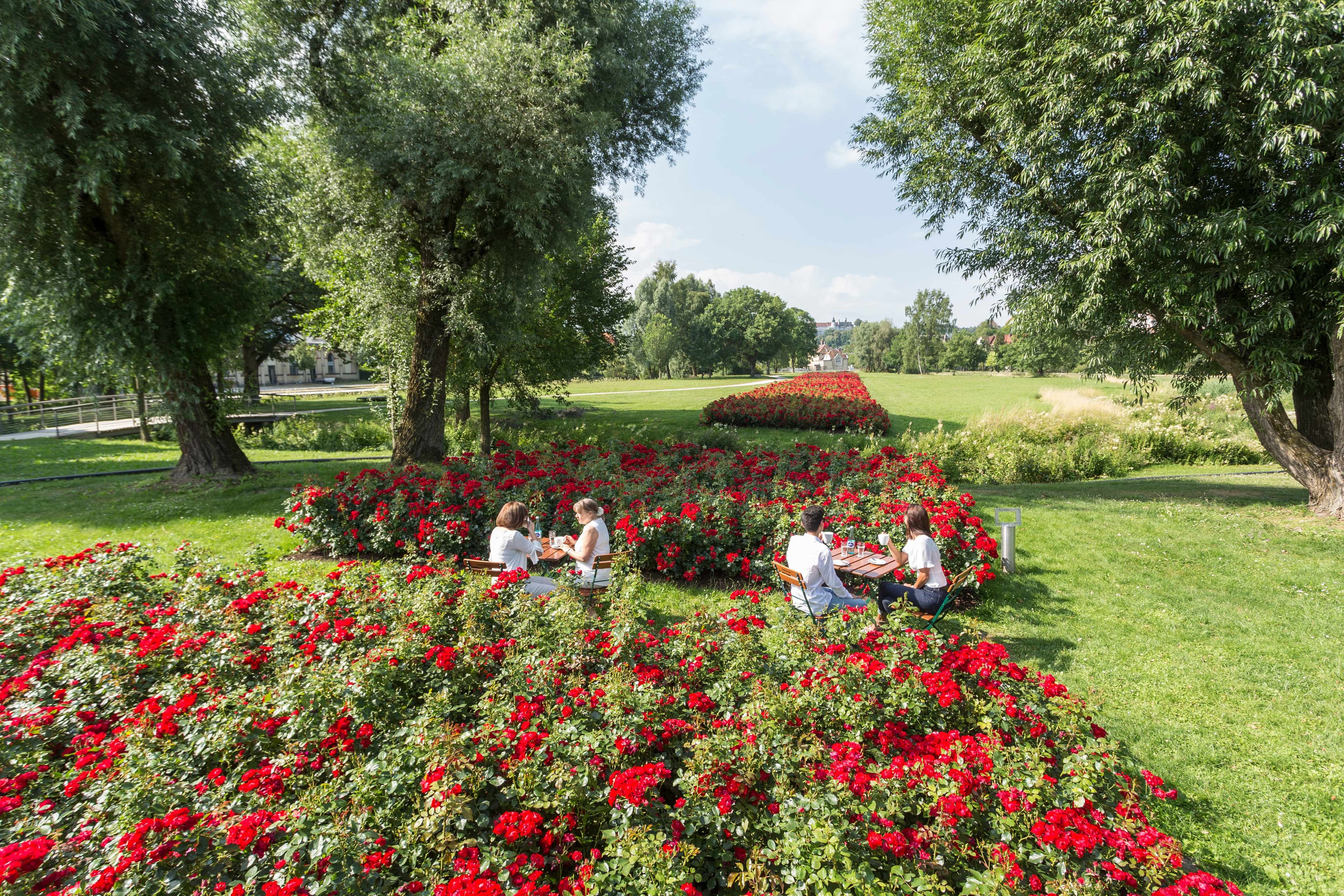 langes Rosenbeet als Blickachse zu Schloss Hellenstein
