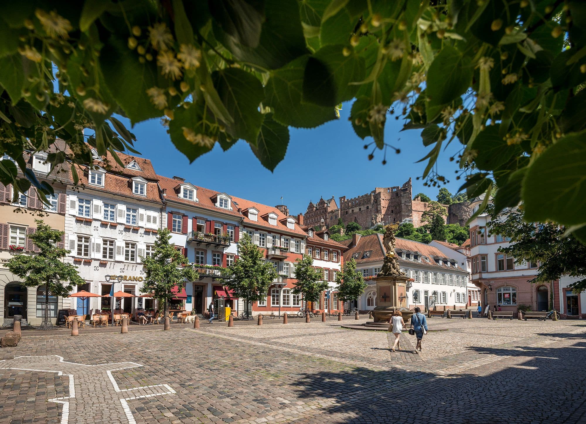 Kornmarkt in Heidelberg's Old Town in summer.