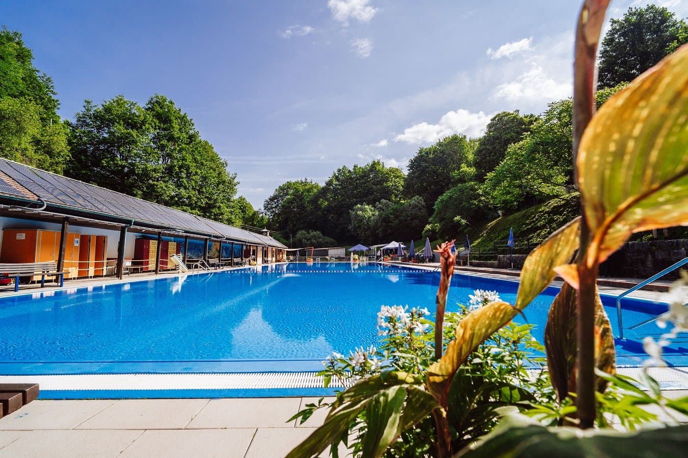 Das große Schwimmbecken. Auf der linken Seite die Umkleiden.