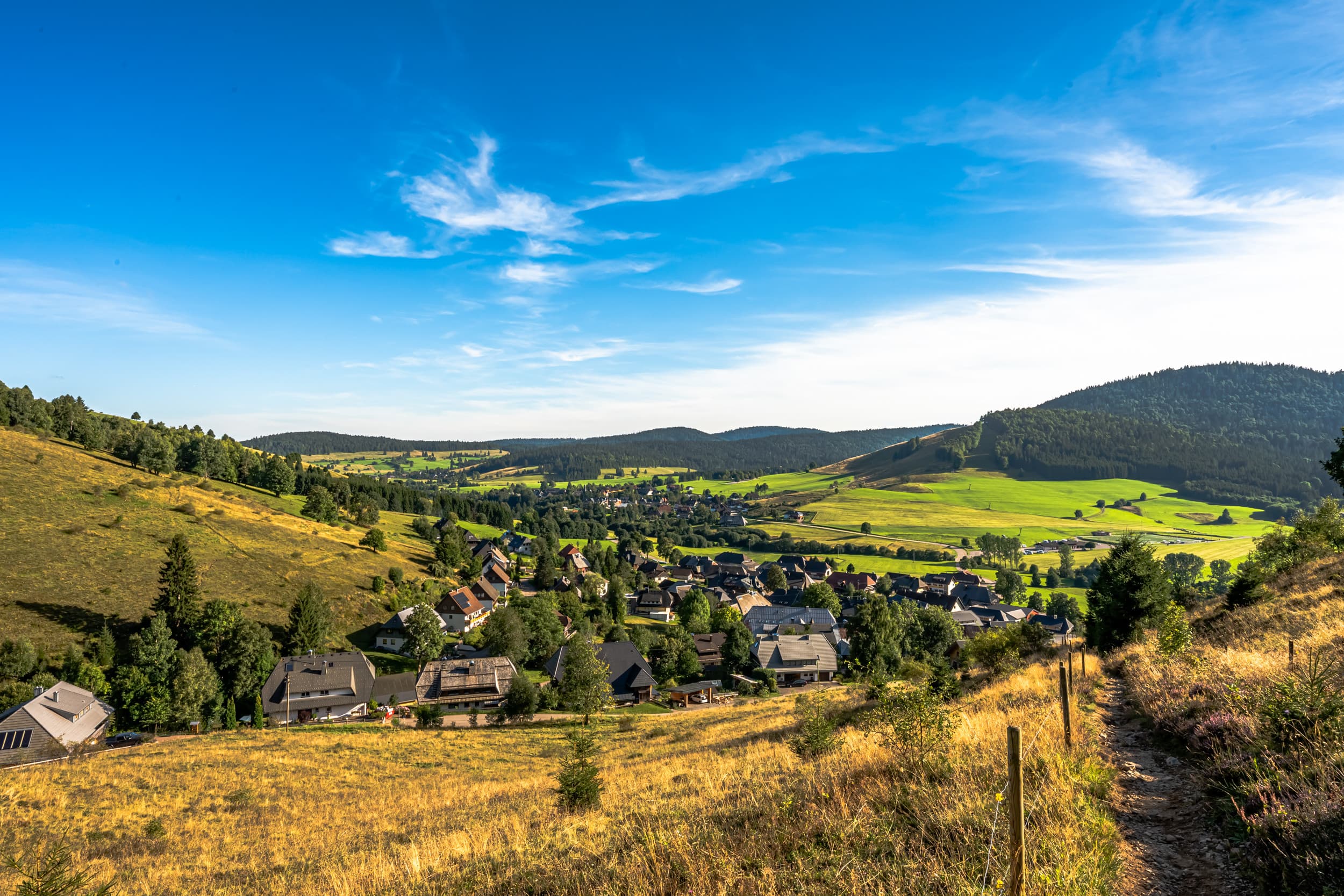 Panorama über den weite offene Hochtal, grüne Wiesen mit blauem Himmel