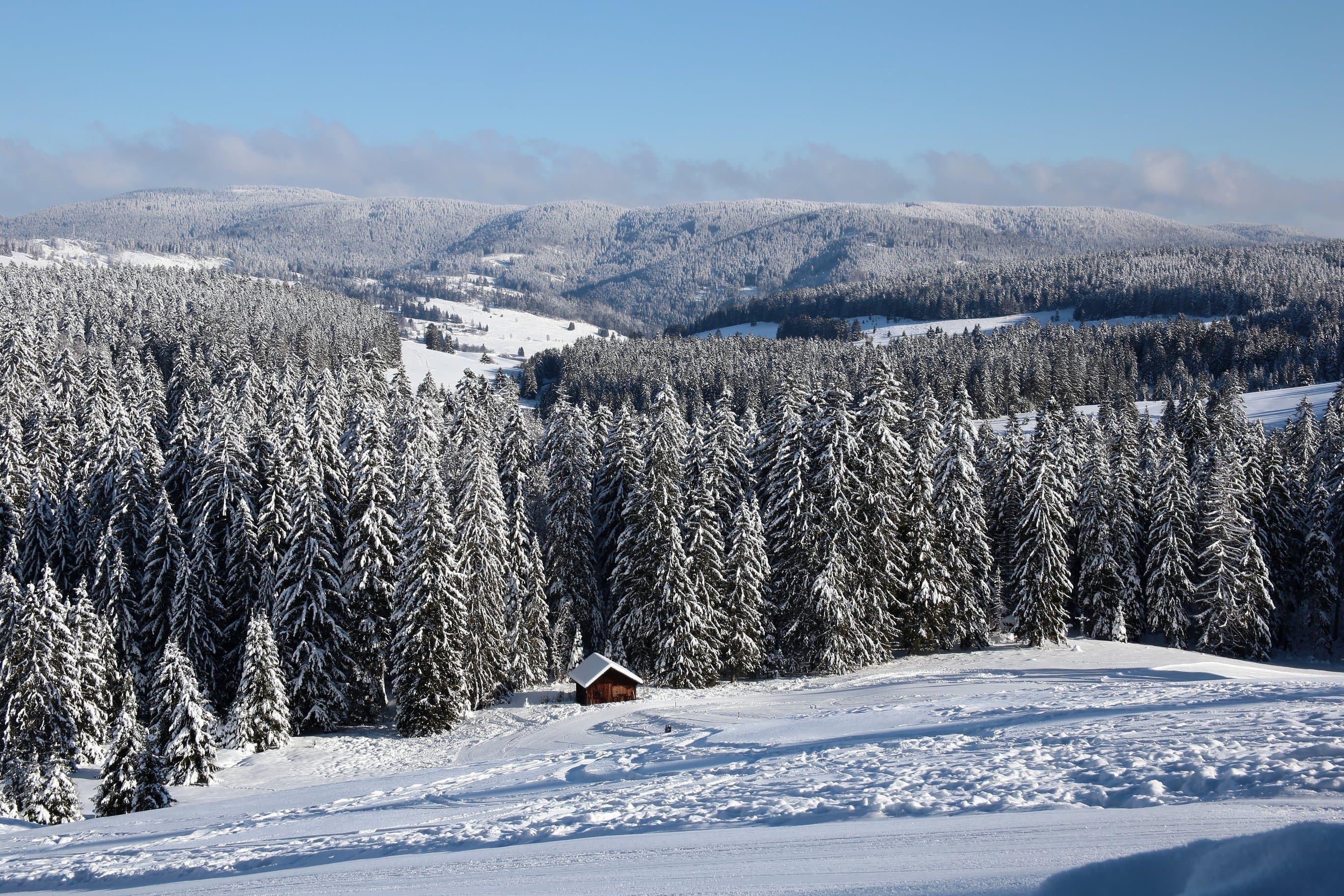 Panorama über verschneite Tannenwälder und Berggipfel des Schwarzwals bei leichter Bewölkung