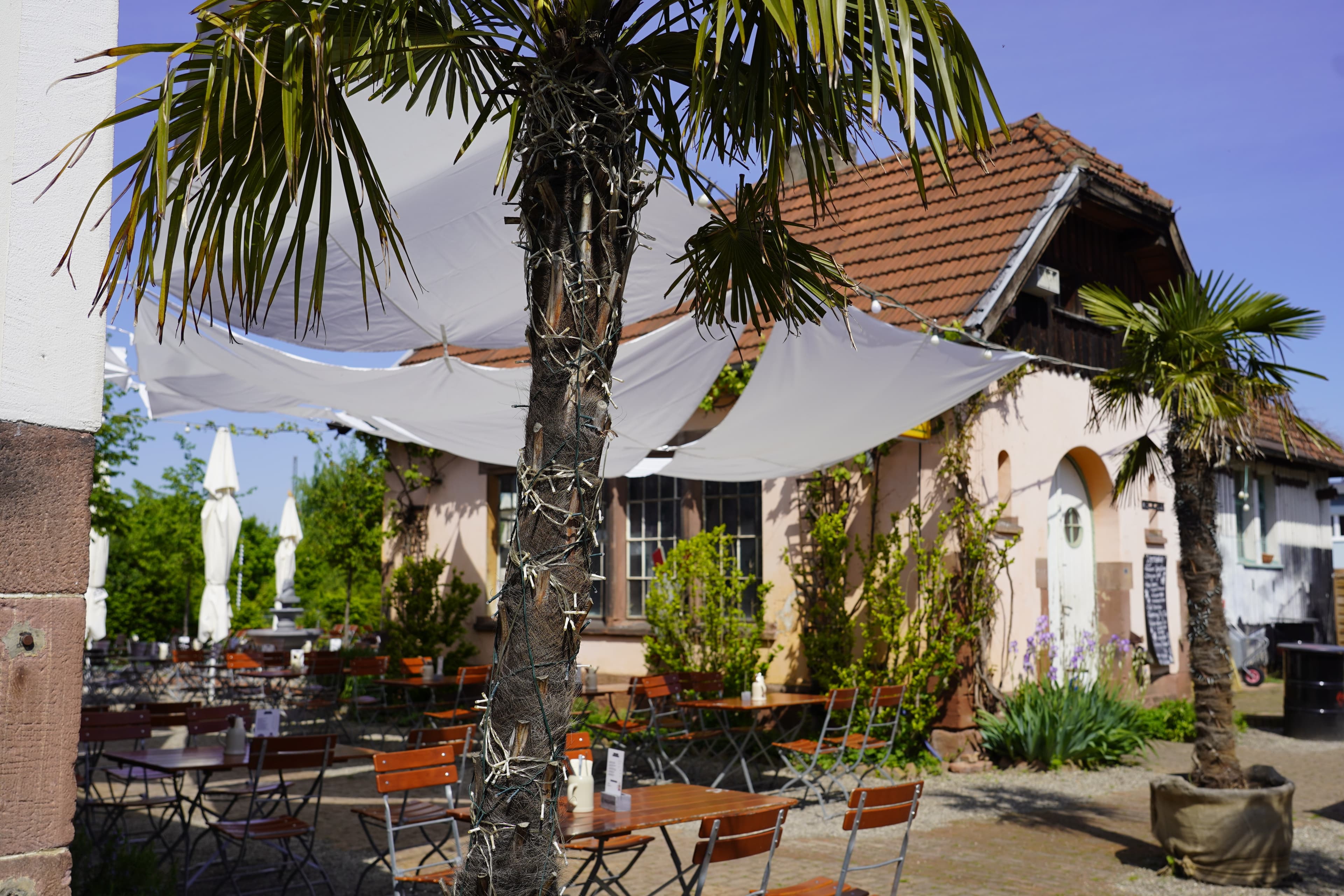 Restaurant Die Kantina in Freiburg