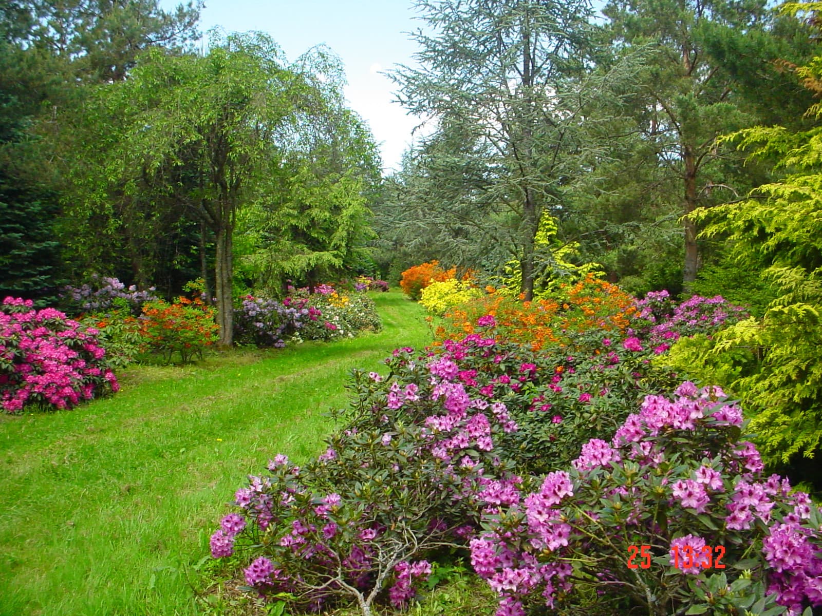 Rhododendronpark