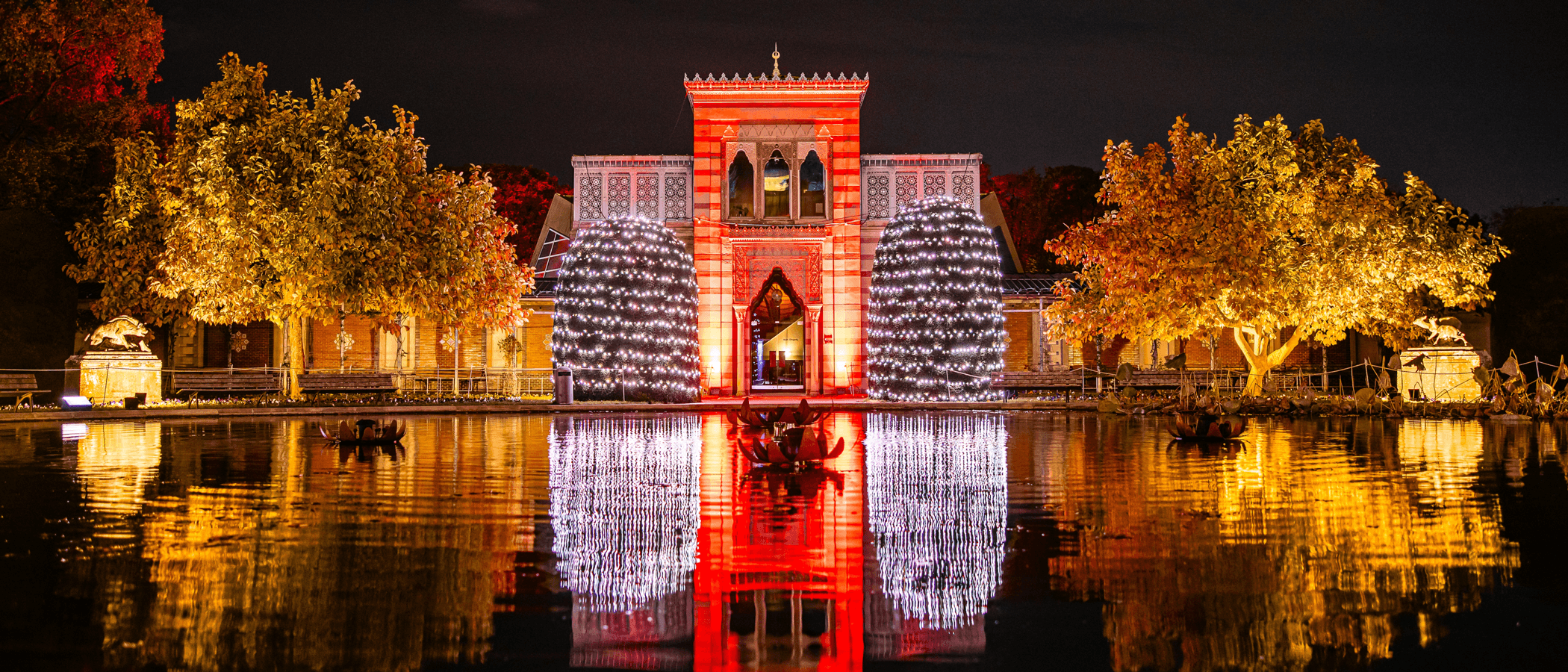 Beleuchtetes Gebäude und Bäume spiegeln sich in einem Teich bei Nacht.