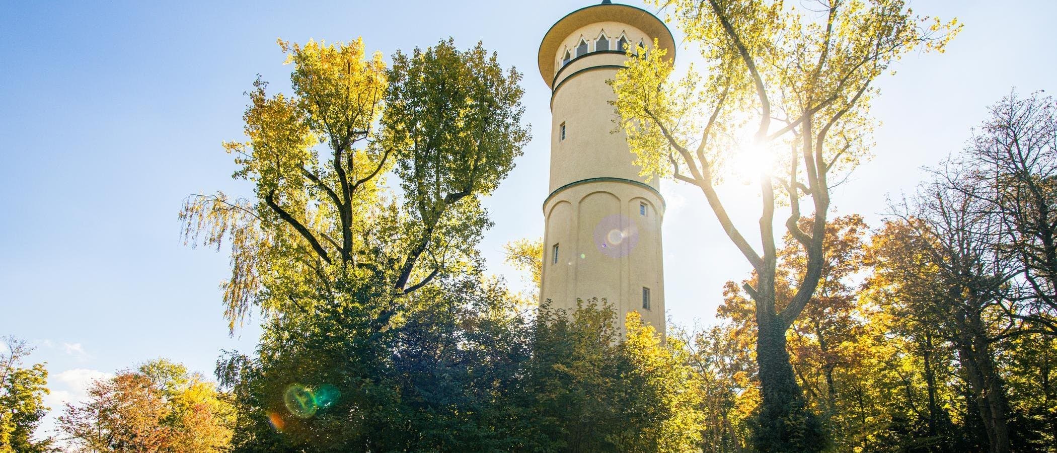 Engelbergturm in Leonberg, umgeben von herbstlichen Bäumen und Sonnenlicht.