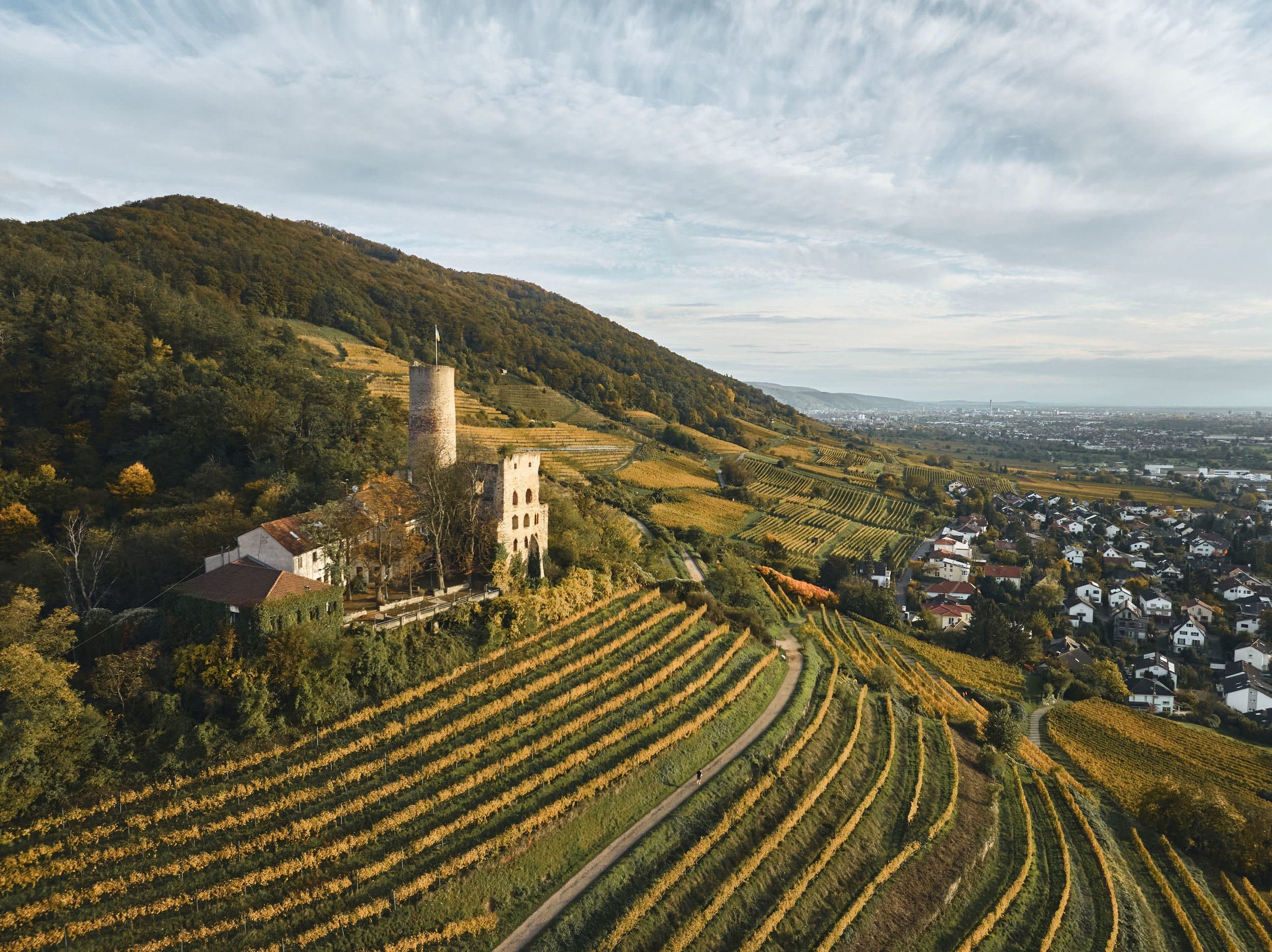 Weinberge mit Burg auf einem Hügel, darunter ein Dorf.