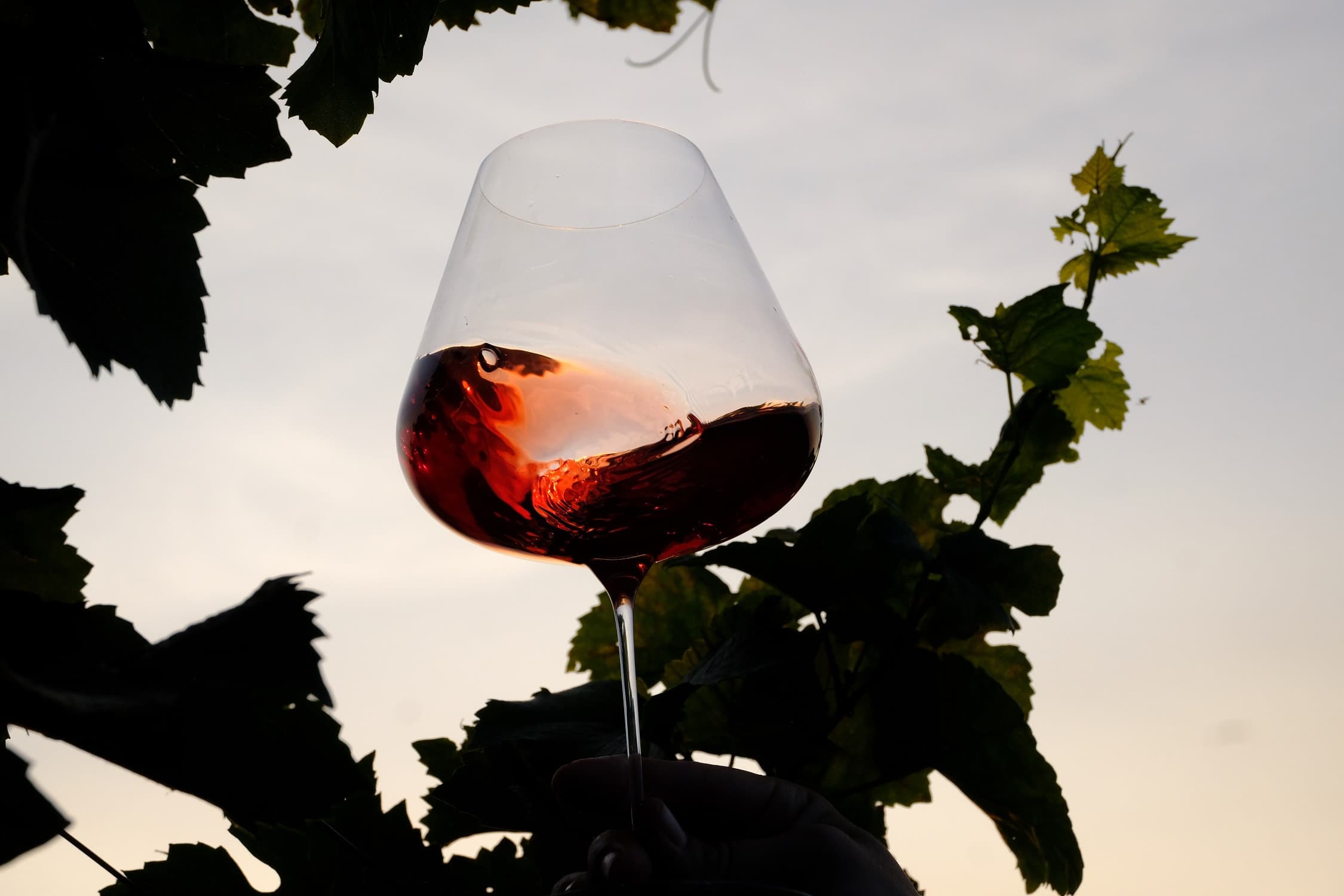 A wine glass in the sunset