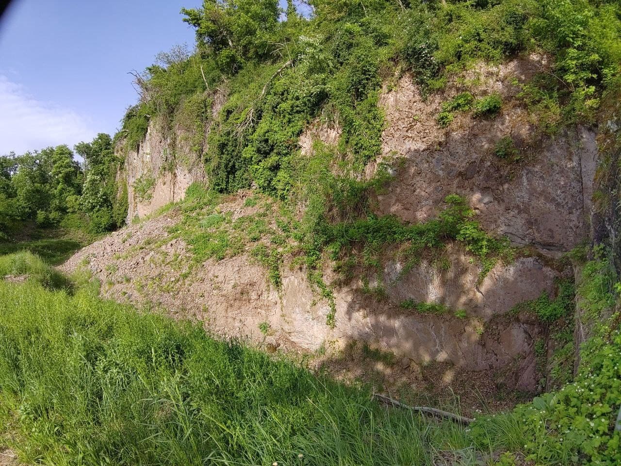 Steinbruch überwachsen mit grünen Pflanzen