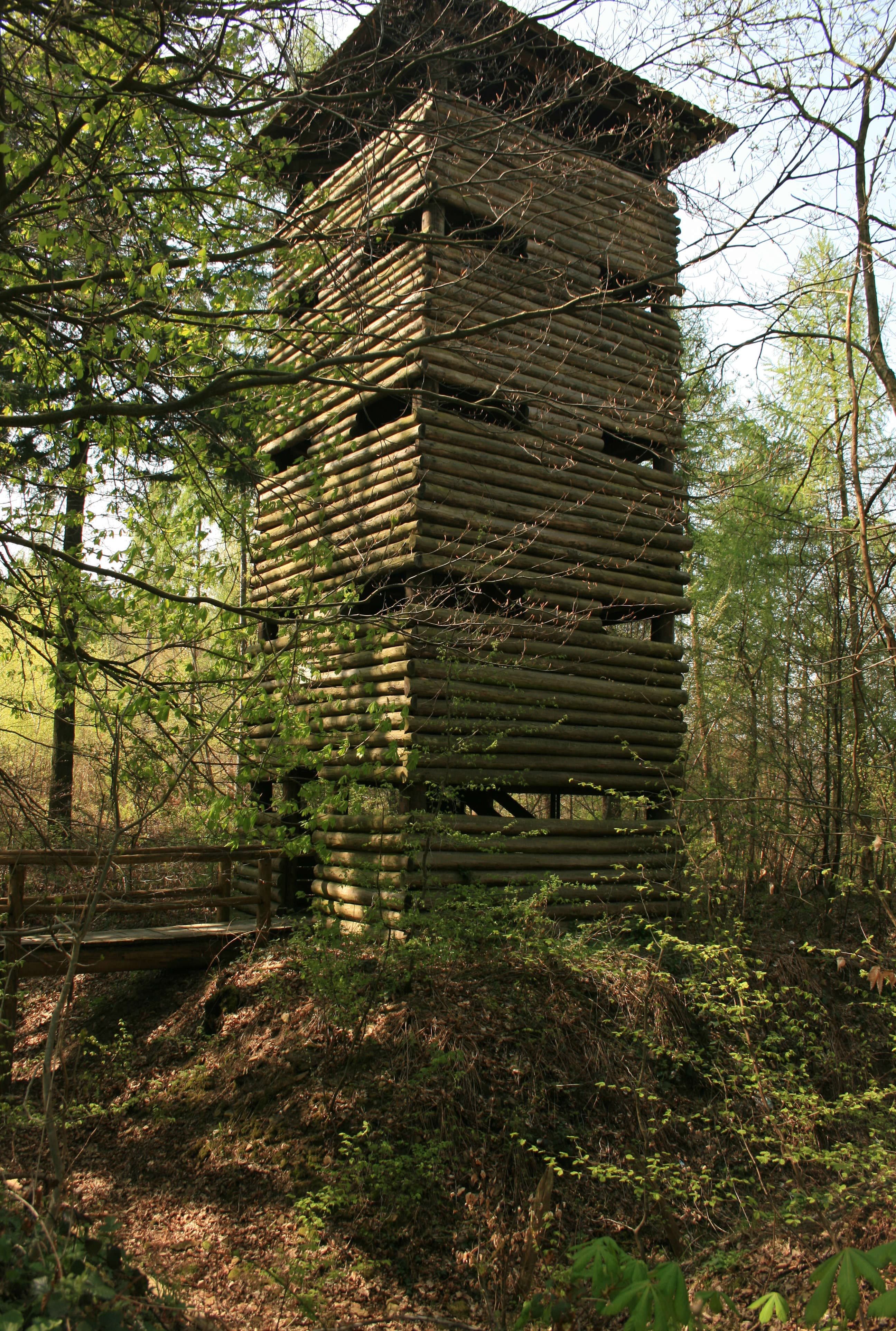 Chartaque, Eppinger Linien