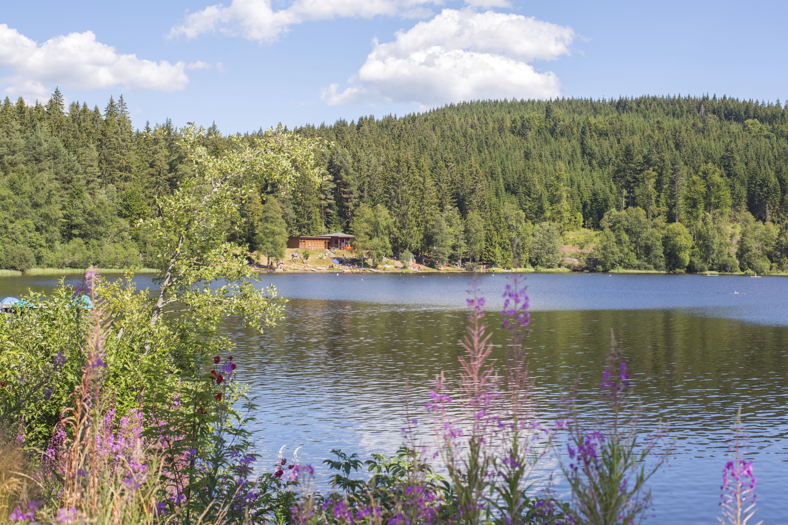 Windgfällweiher mit Blick auf das Strandbad