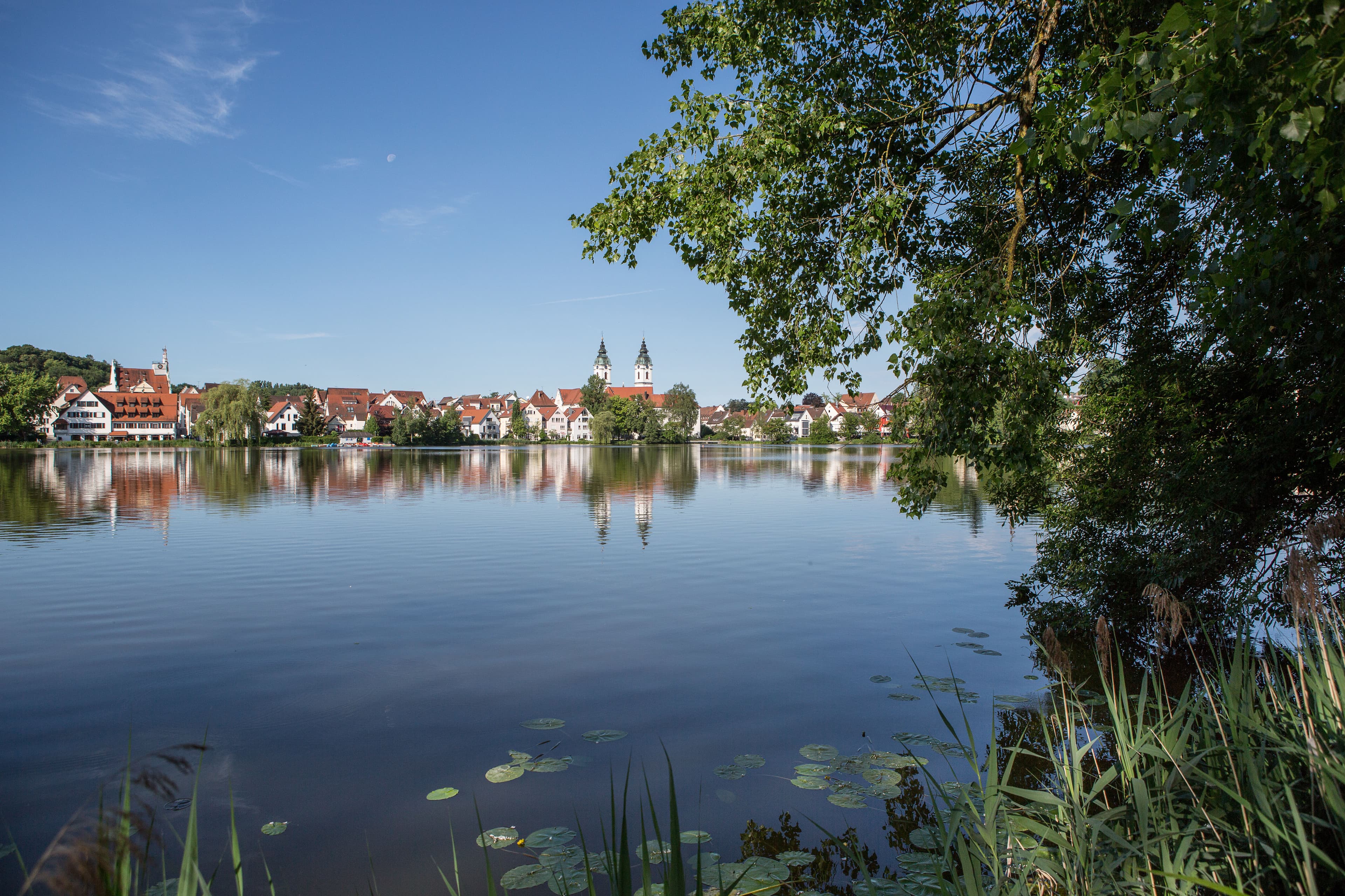 Silhouette von Bad Waldsee