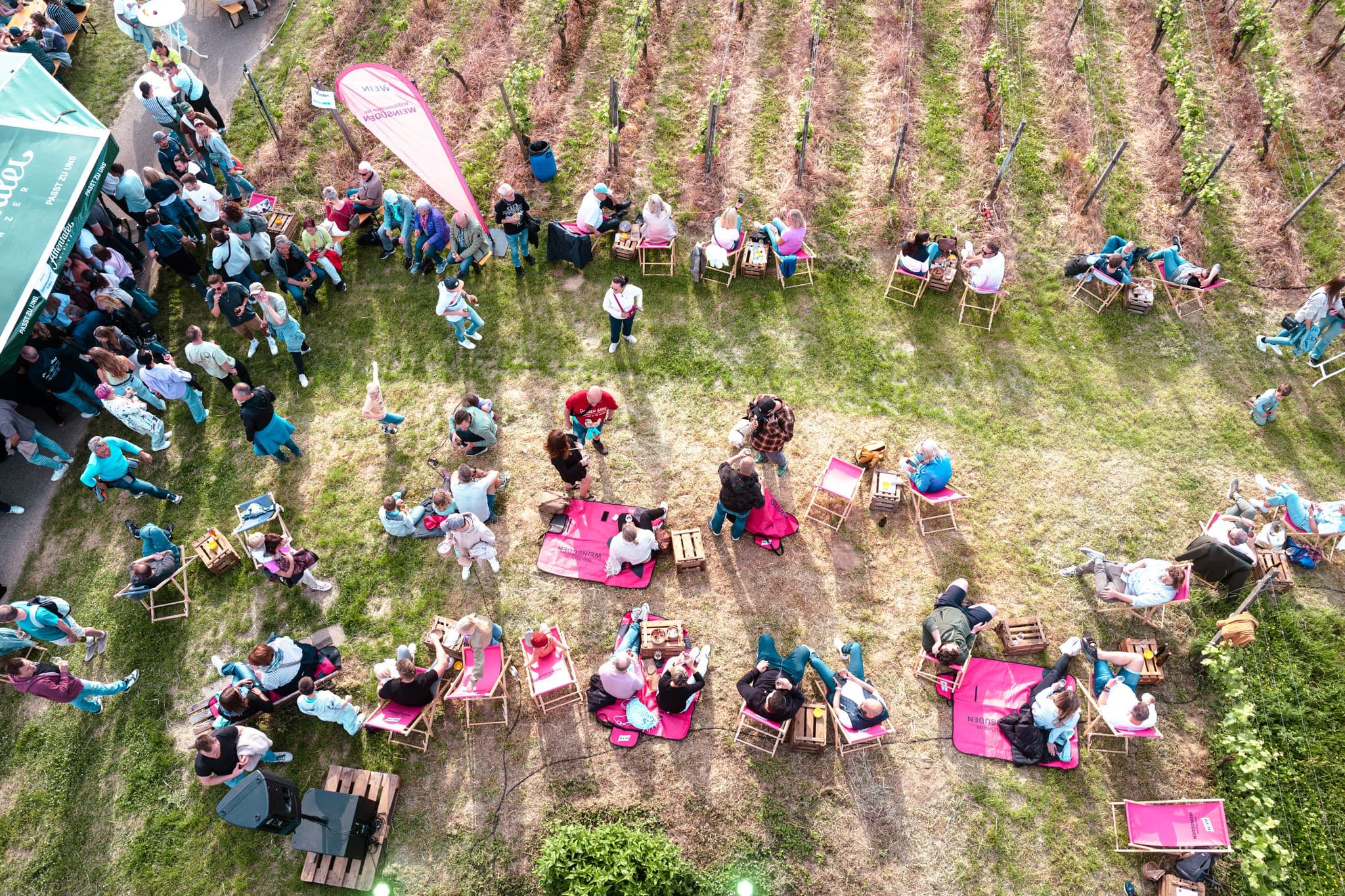 People celebrating on a vineyard
