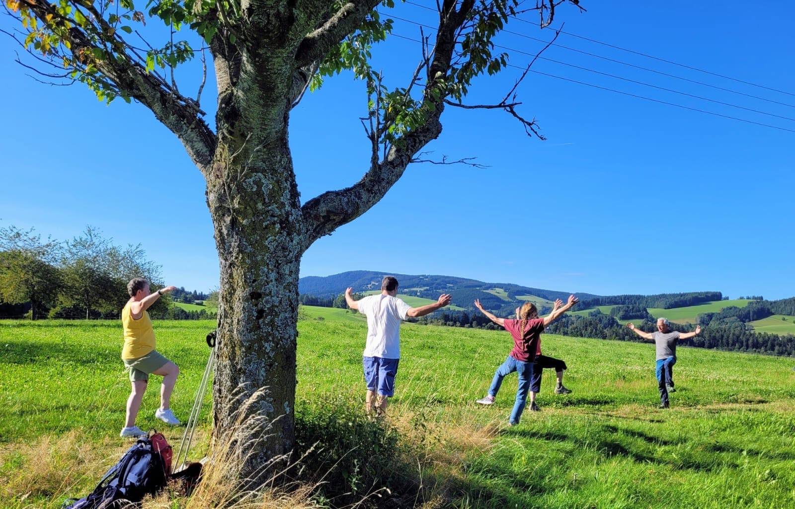 Gruppe macht Dehnübungen unter einem großen Baum auf einer sonnigen Wiese mit Blick über die hügelige Schwarzwaldlandschaft.