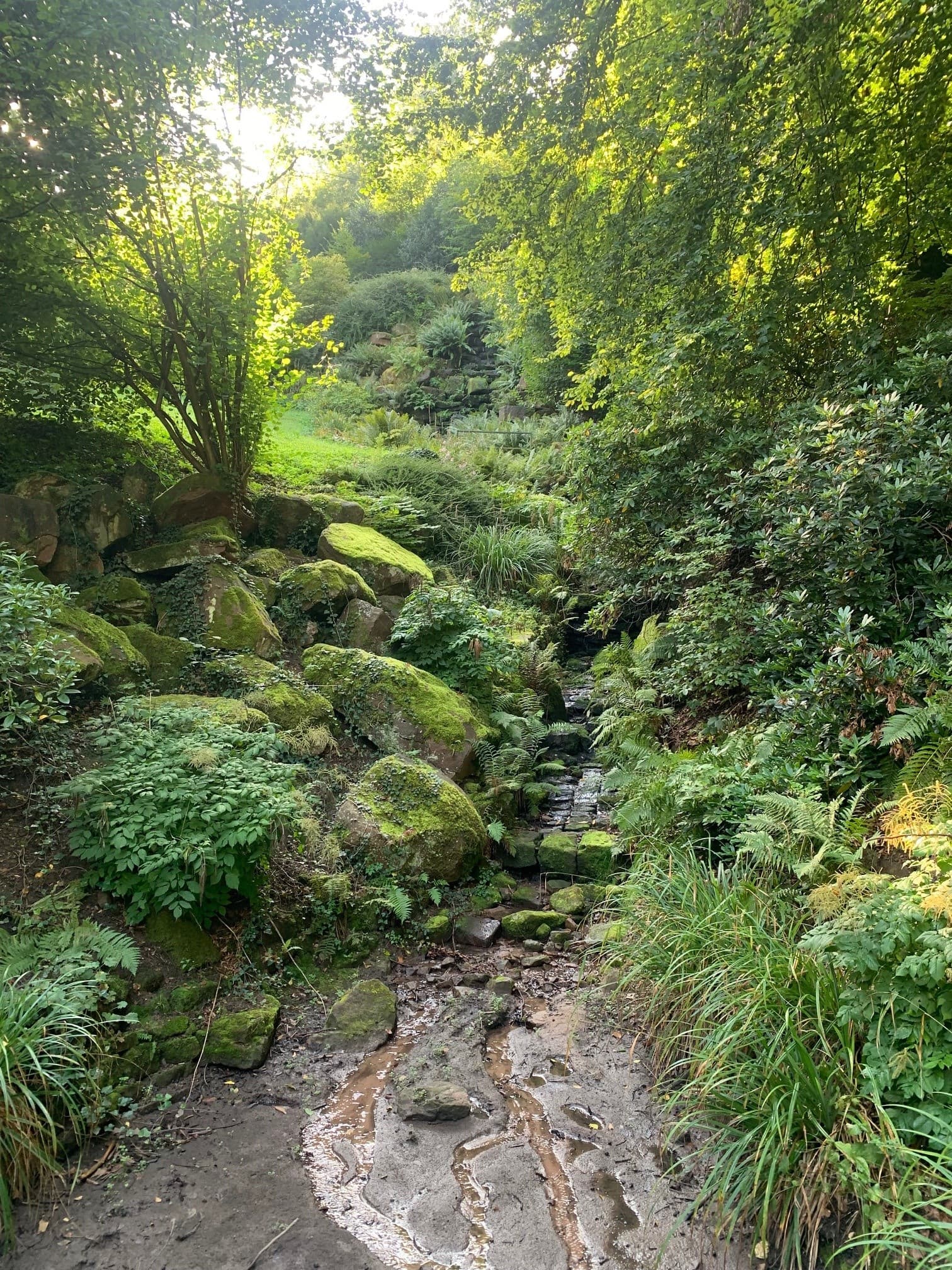 Klingenteich waterfall in Heidelberg's old town centre