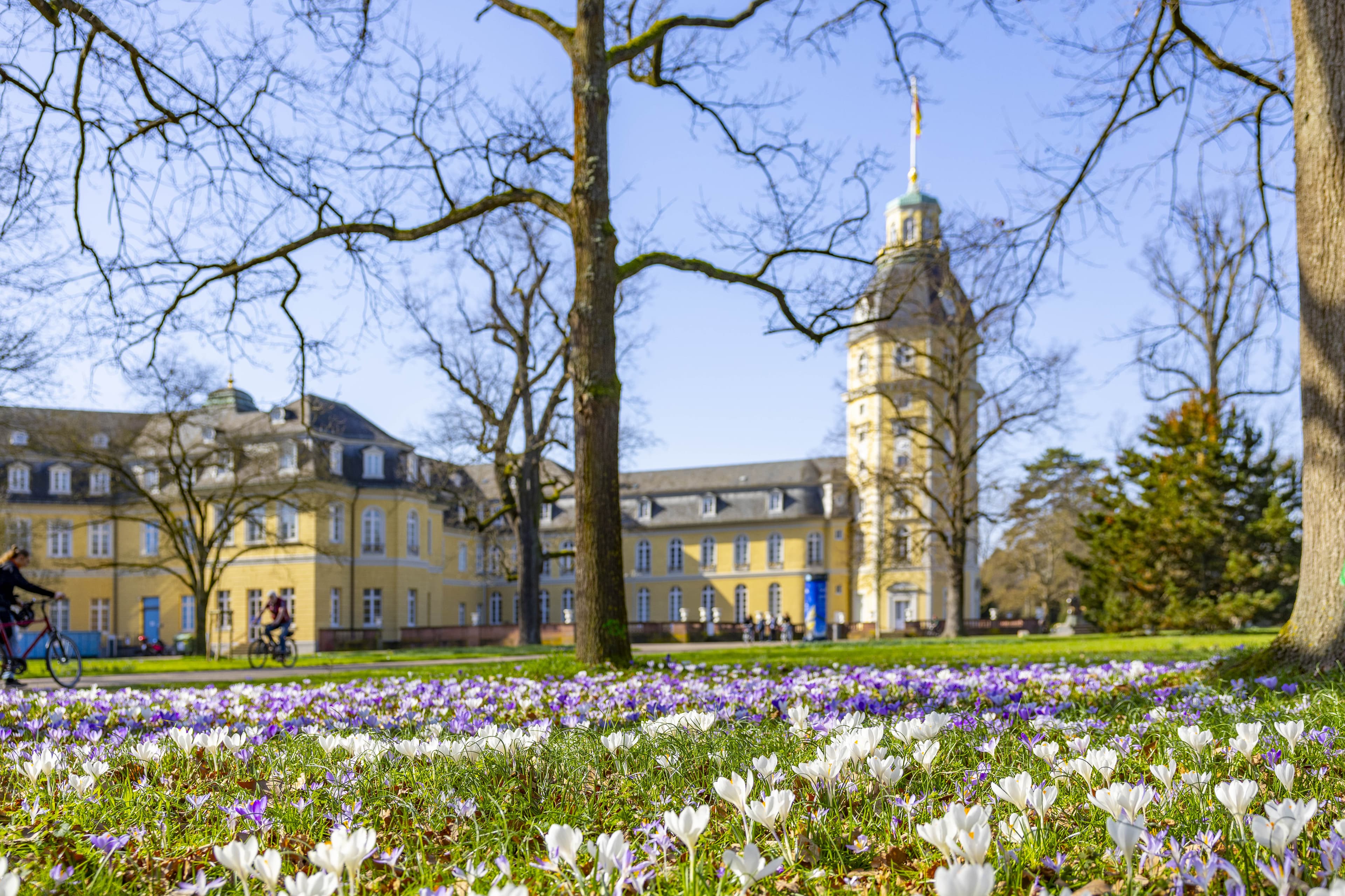Der Schlossgarten Karlsruhe im Frühling 2026