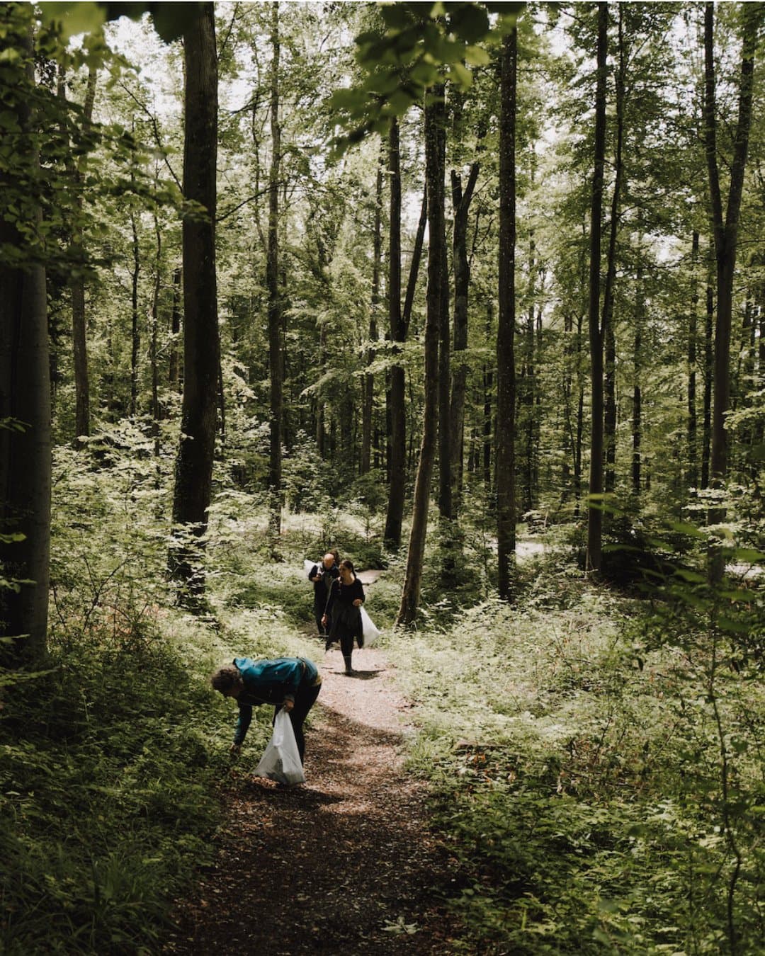 Müll sammeln Cleanup Aktion Wald Gehrenberg Bodensee Patron Wirthshof