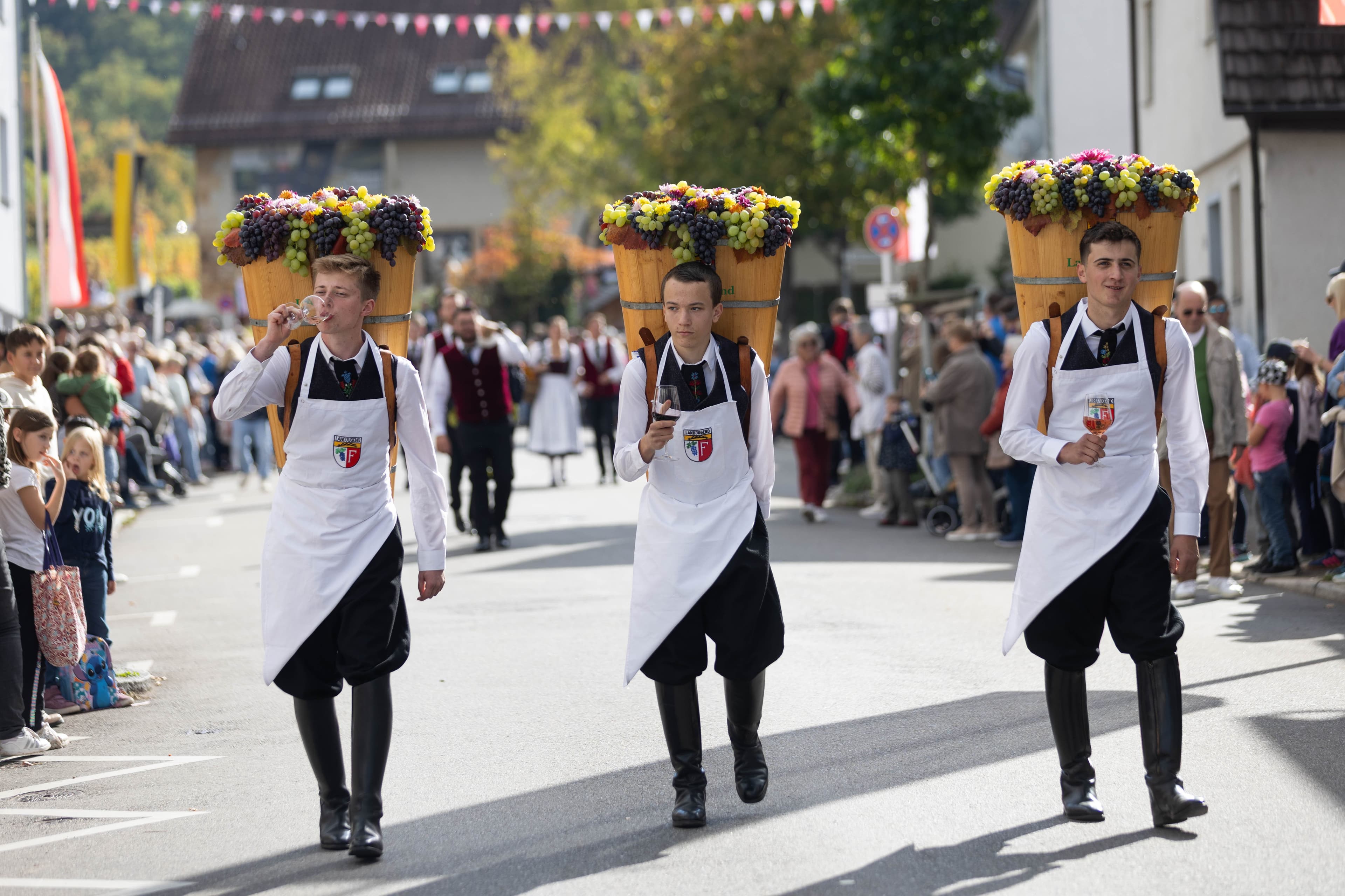 Festumzug beim Fellbacher Herbst