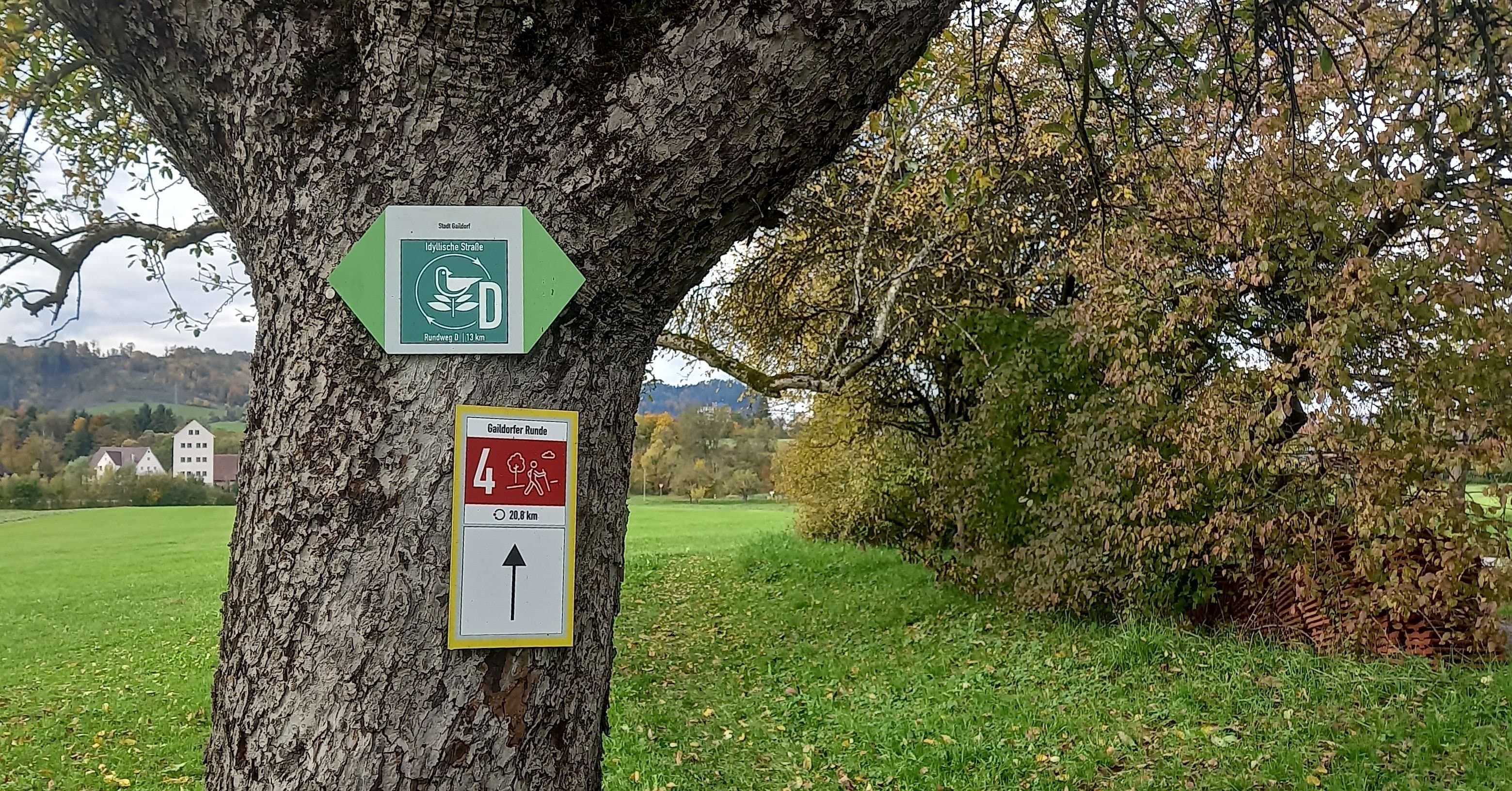 Wanderwegweiser an einem Baum, im Hintergrund grüne Hecken und Wiese