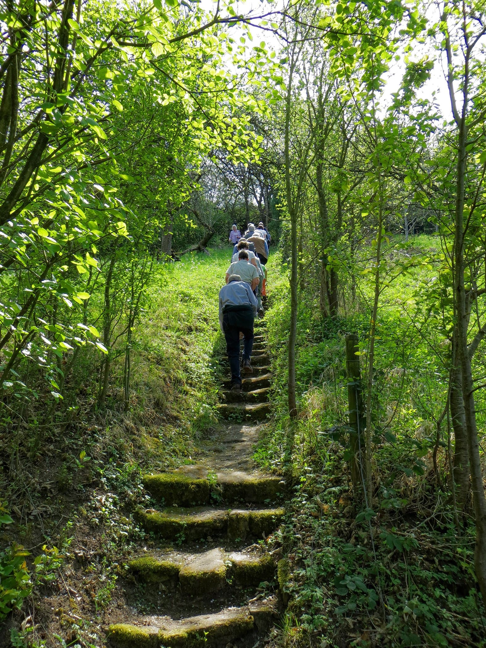 Wandergruppe auf dem alten Wirtschaftsweg Richtung Landgut Burg