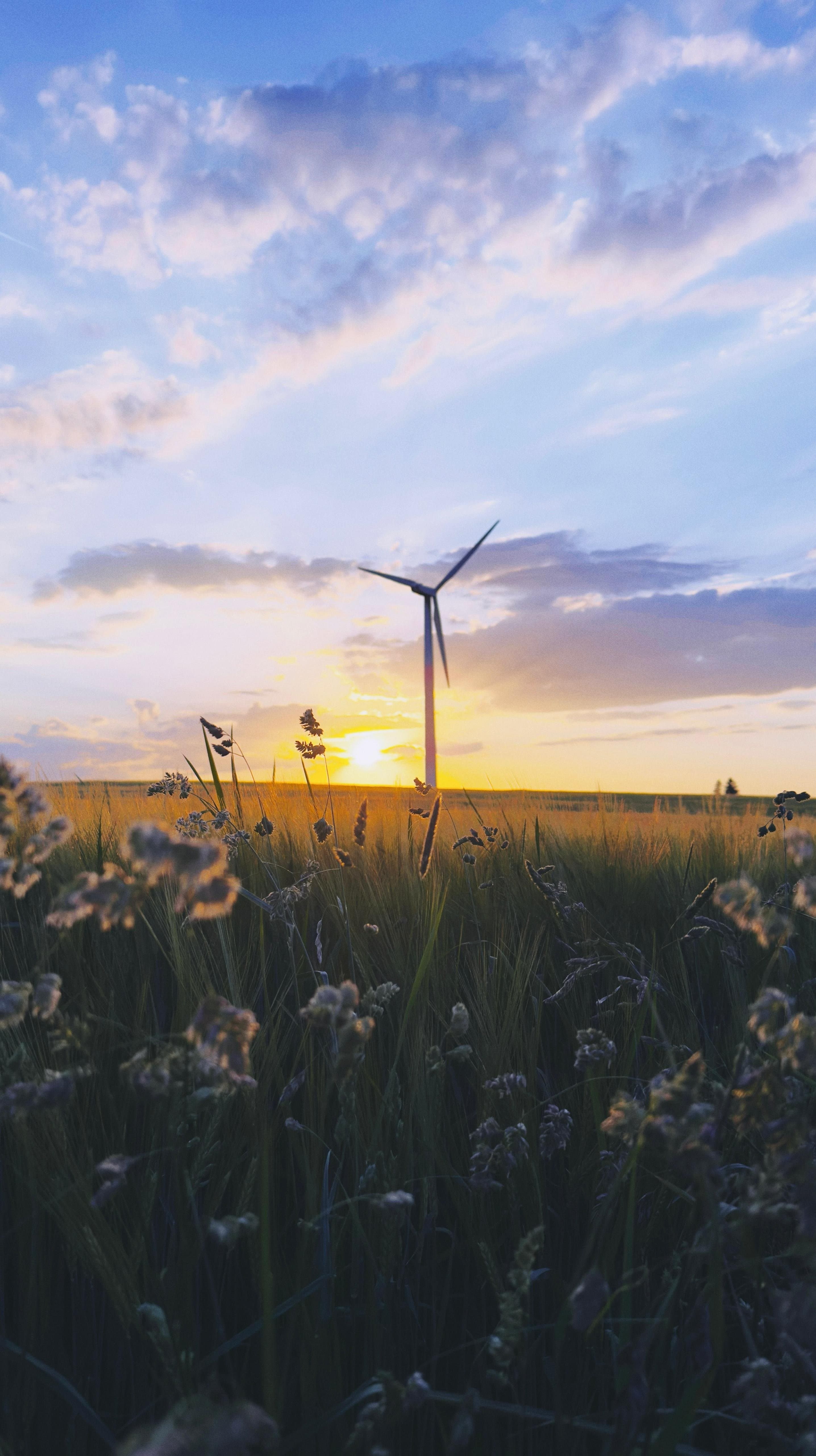 Windrad in Judentenberg bei Sonnenuntergang hinter schönen Gräsern