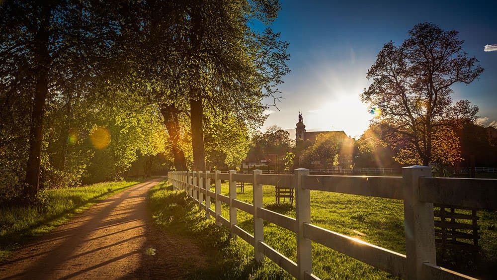 Ein ländlicher Weg führt durch einen Park mit einem weißen Zaun und Bäumen, die von der Sonne beleuchtet werden.