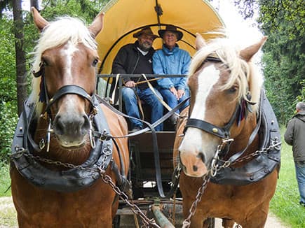 Kutschfahrten rund um Münsingen über die Schwäbische Alb.