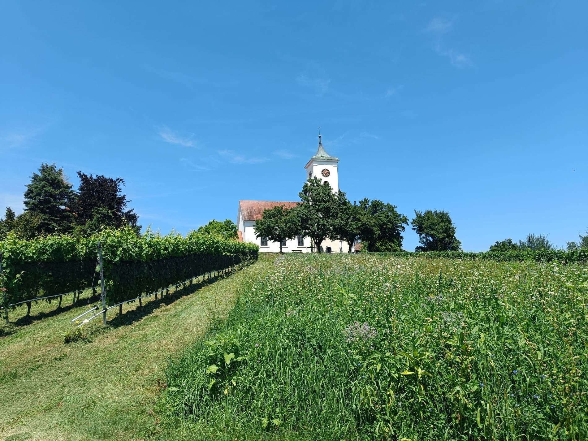 Kirche St. Nikolaus in Berg