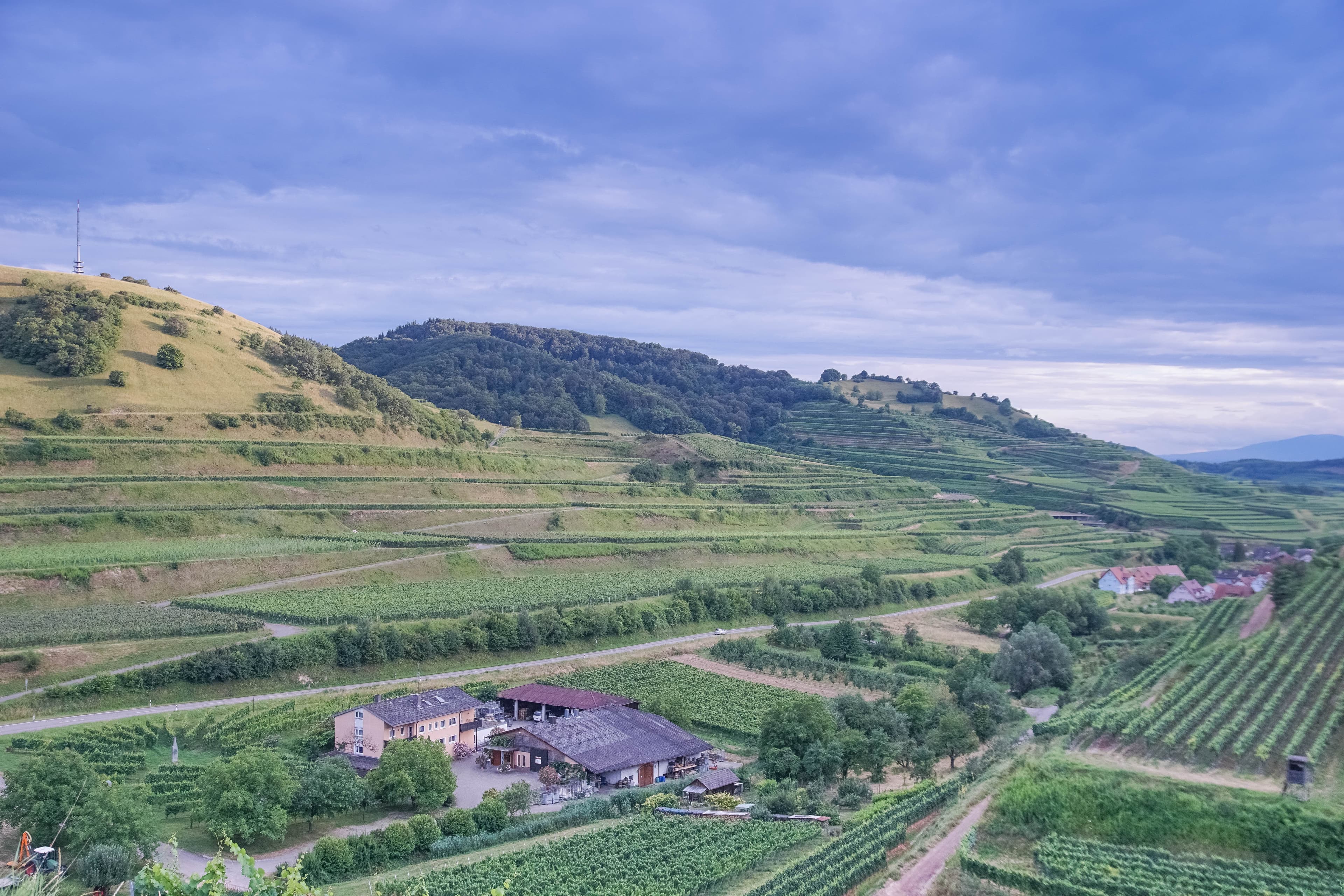 Das Weingut inmitten von Reben