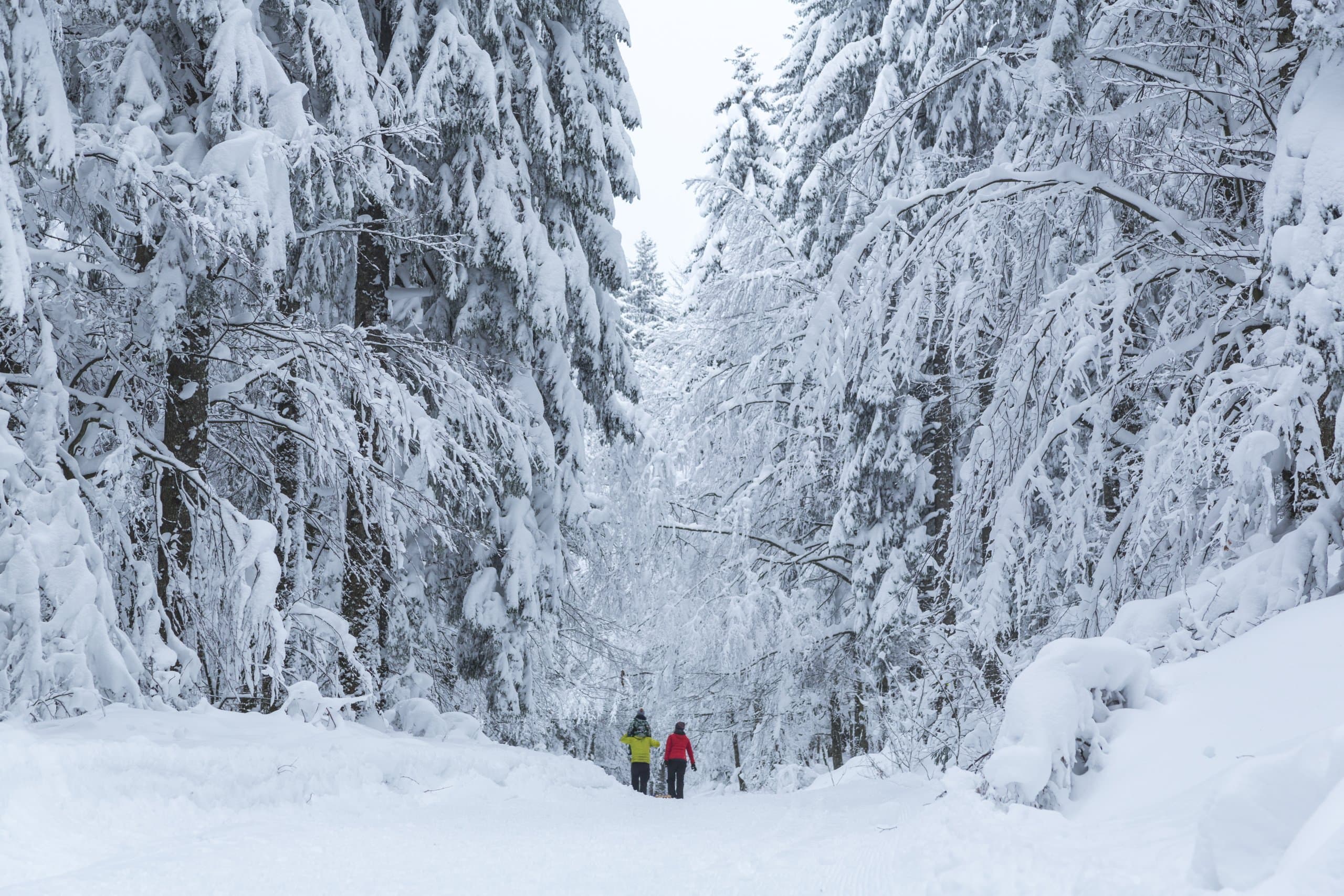 Winterwanderweg Todtnau