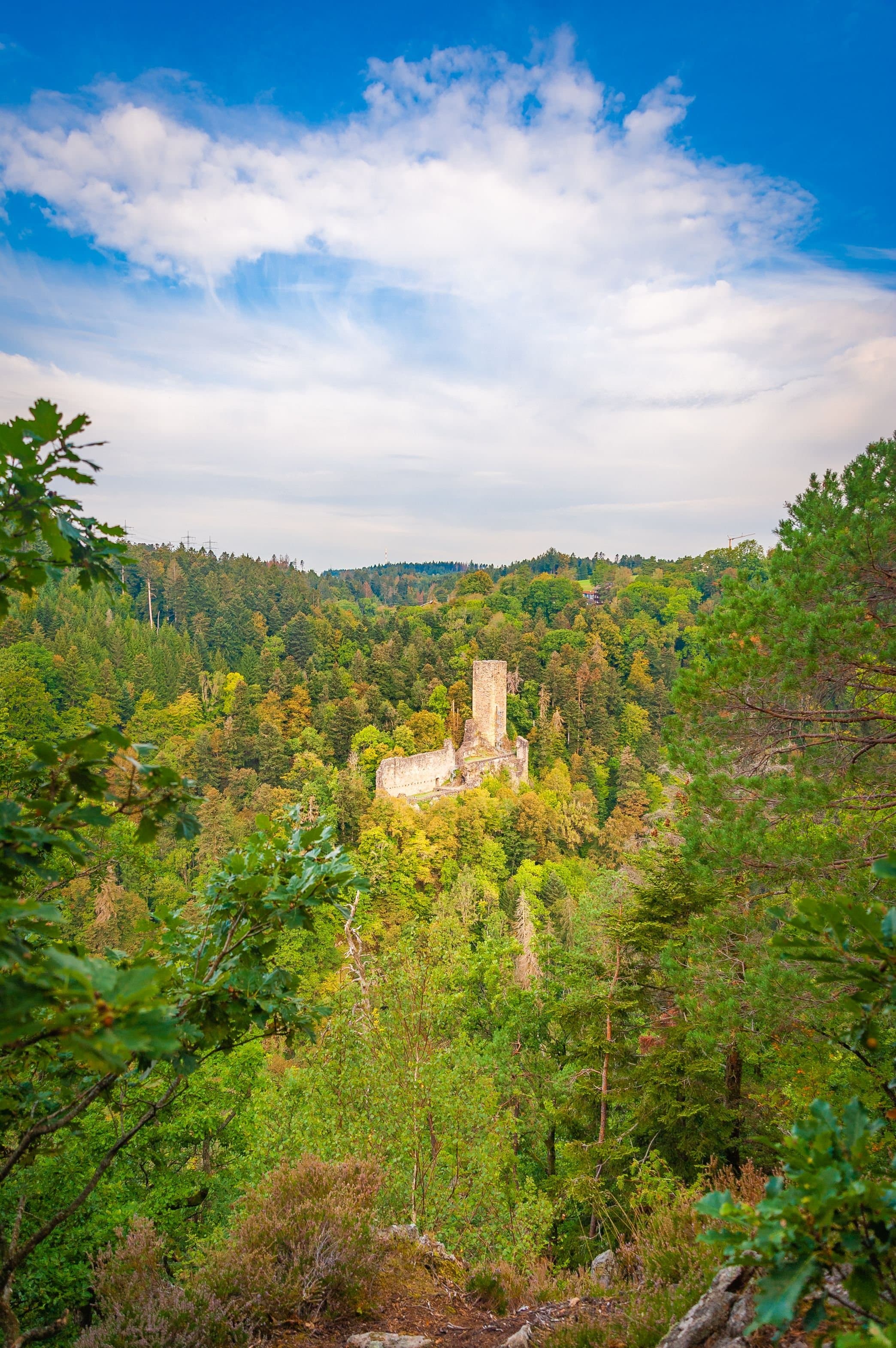 Burgruine im Wald