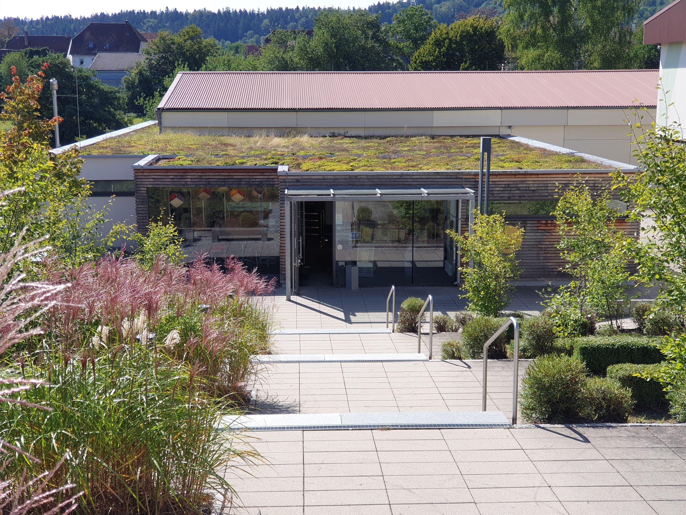 The picture shows the entrance area of the indoor pool. Steps lead down into the building. There are plants to the right and left of the path.