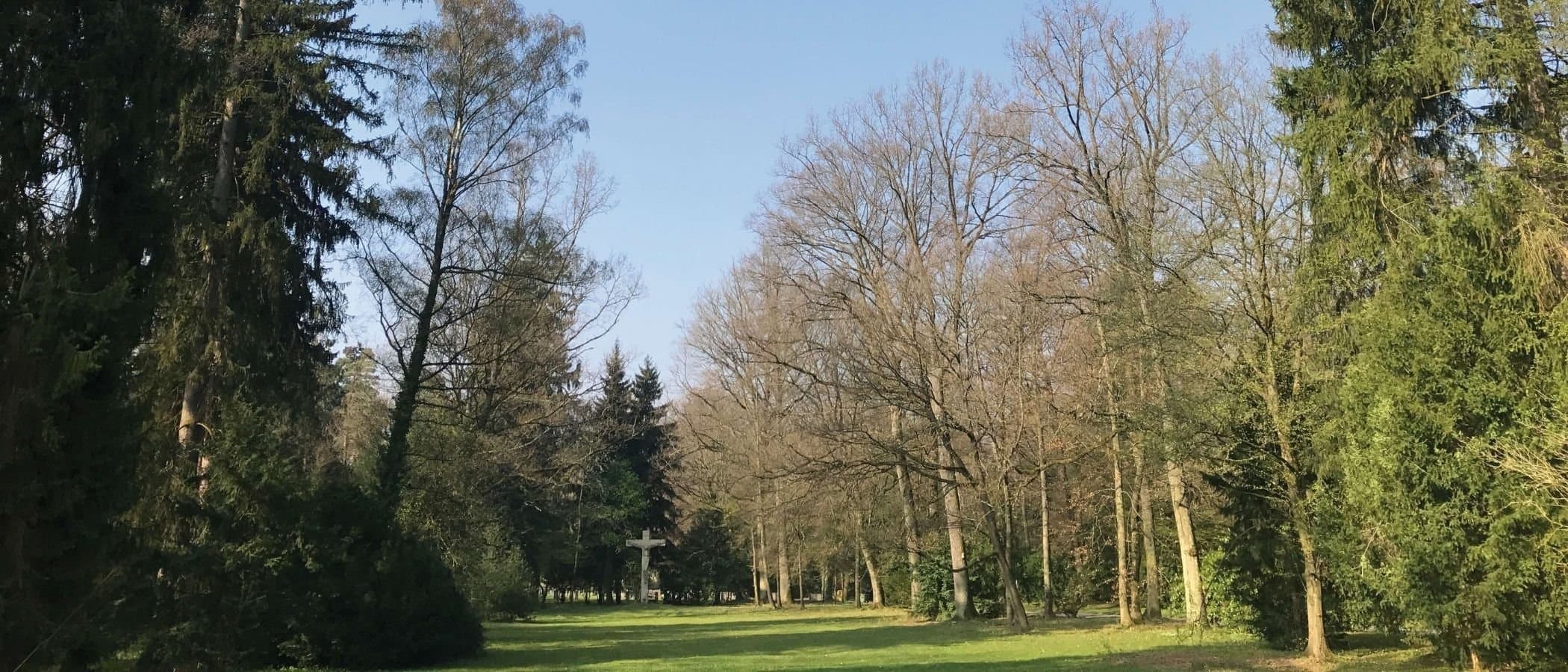Waldlandschaft mit Bäumen und einem Kreuz im Hintergrund.