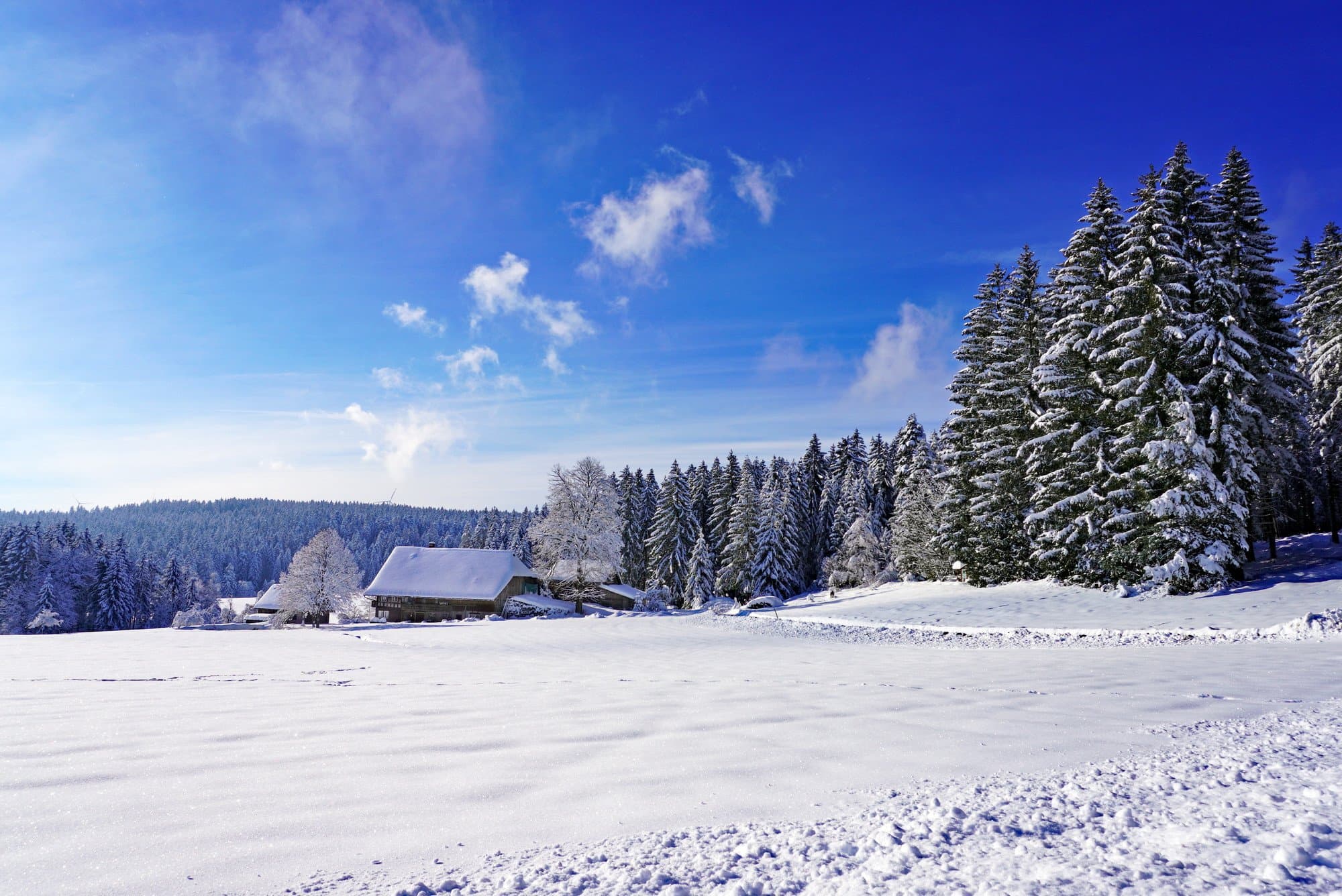 Schneelandschaft in Tennenbronn