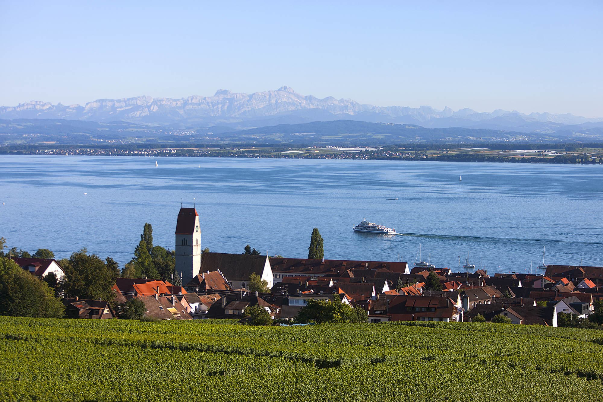 Hagnau am Bodensee Winzerverein
