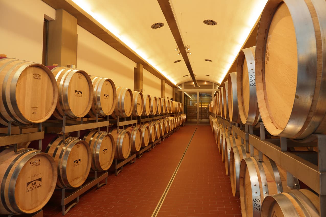 Führung der durch den Weinkeller der Weingärtner Stromberg-Zabergäu | Brackenheim | HeilbronnerLand