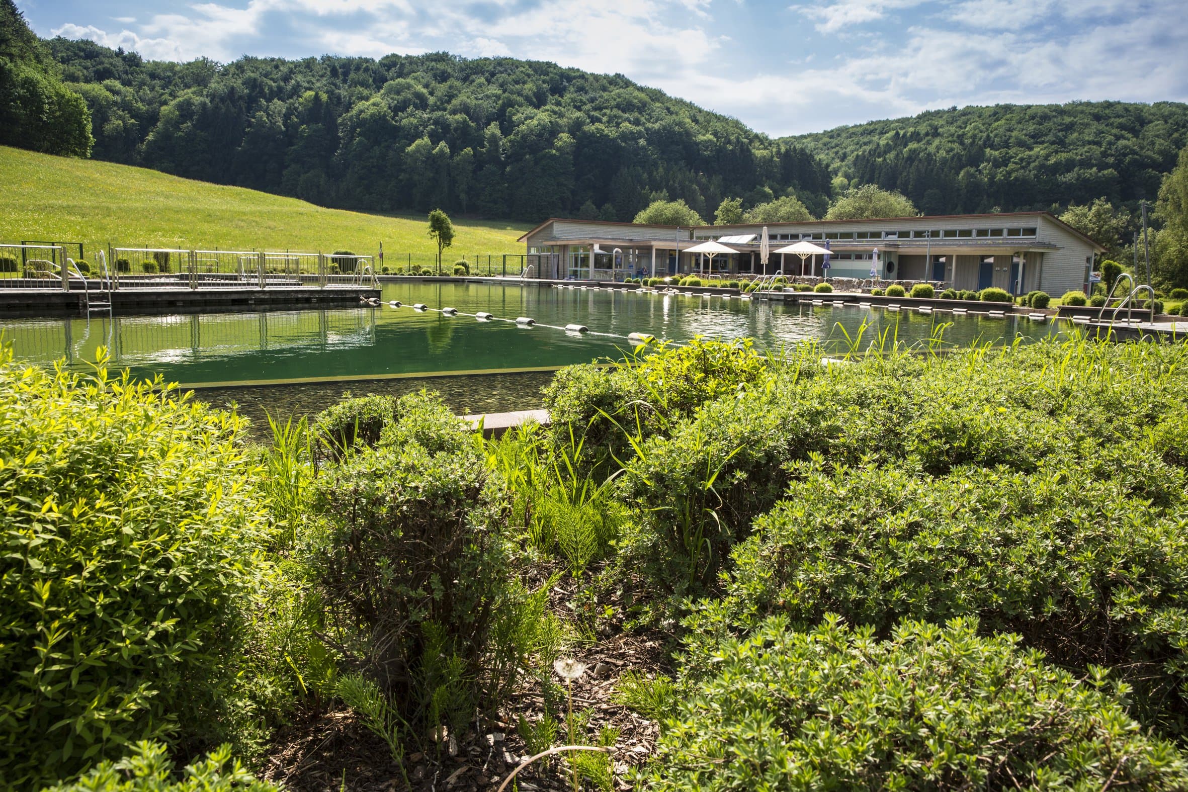 Ausflugsziele in Albstadt: Naturbad in Albstadt-Tailfingen