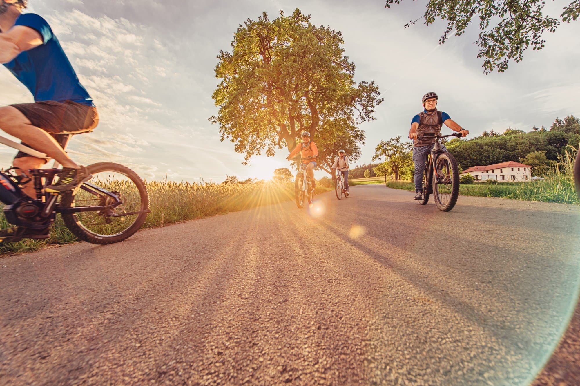 4 Radfahrer fahren auf einem asphaltierten Radweg bei Sonnenuntergang. Im Hintergrund ist Wald und ein Haus zu sehen.