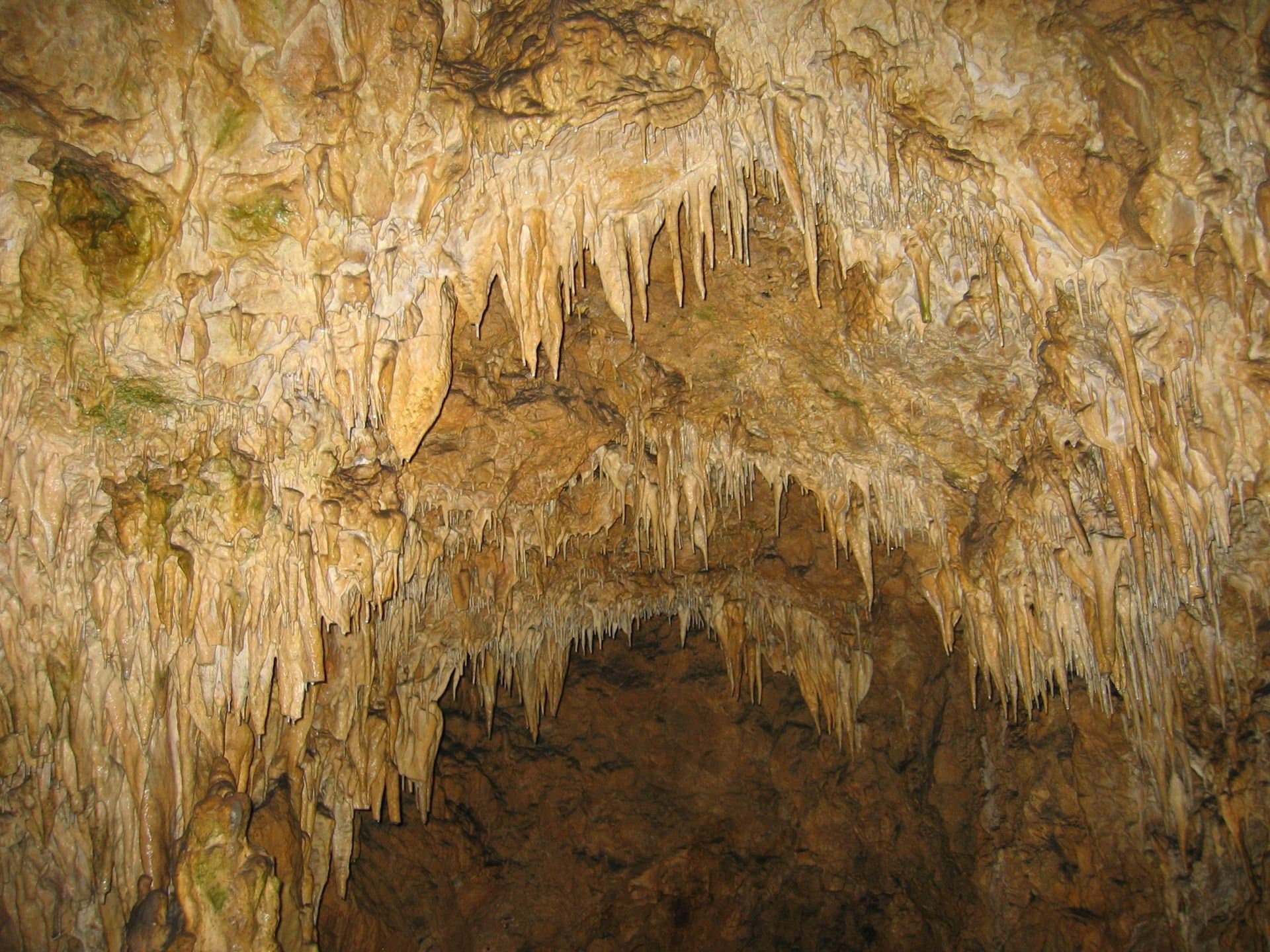 Innenansicht der Tropfsteinhöhle mit bogenförmig angeordneten Stalaktiten an der Höhlendecke