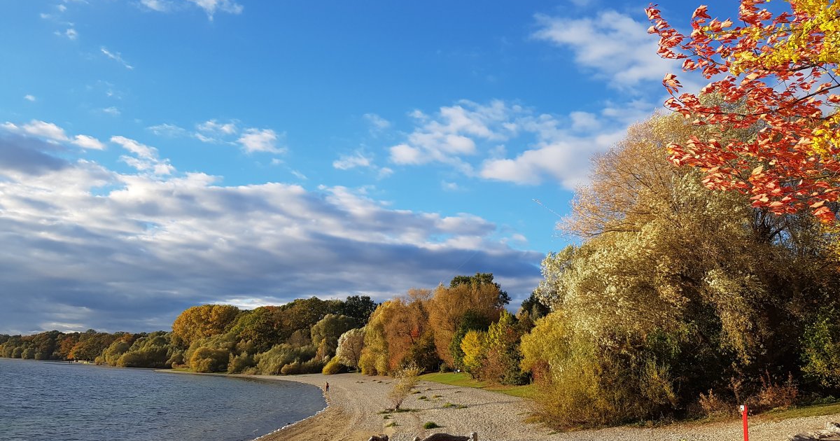 Knigsweg - from Friedrichshafen along the lake to Fischbach