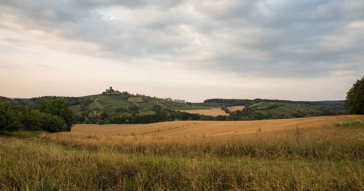 Sulzfeld