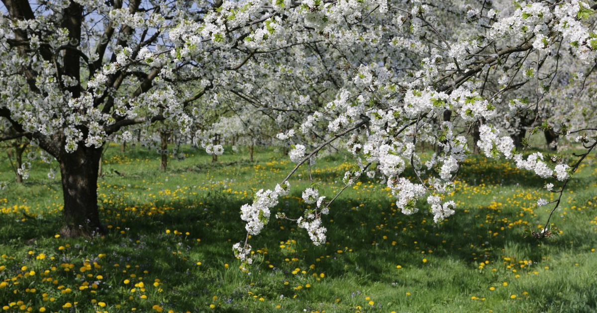 Obst- und Hofladenrunde